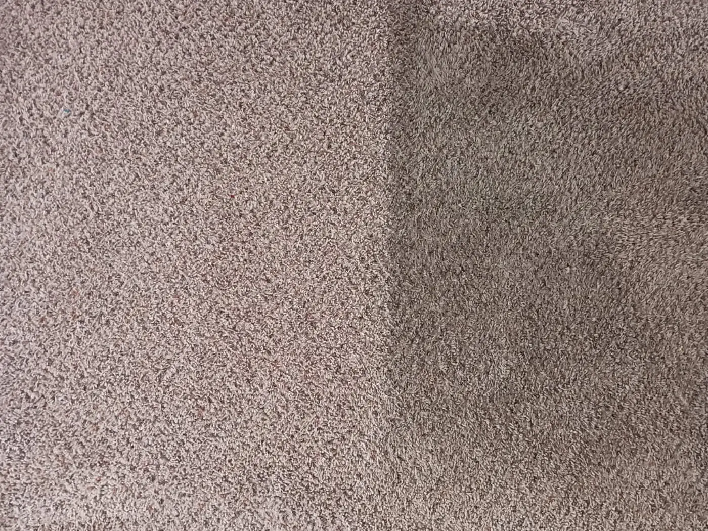 Carpet halfway through a clean, one side bright and the other still soiled